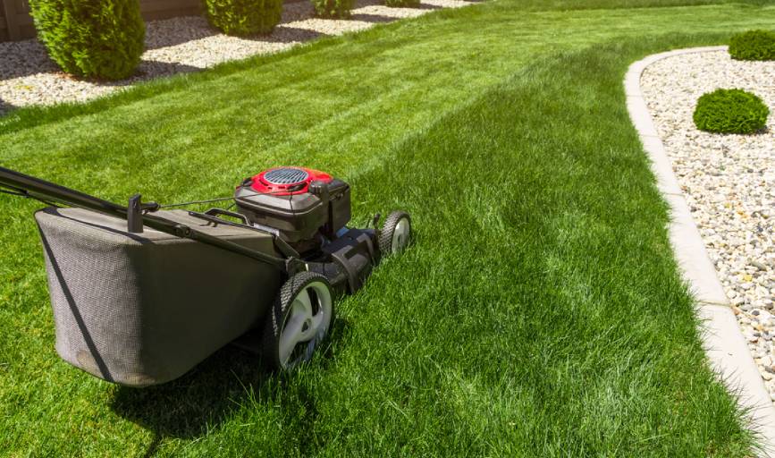Lawn Care